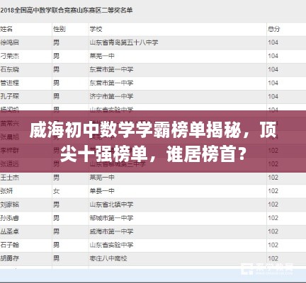 威海初中数学学霸榜单揭秘，顶尖十强榜单，谁居榜首？