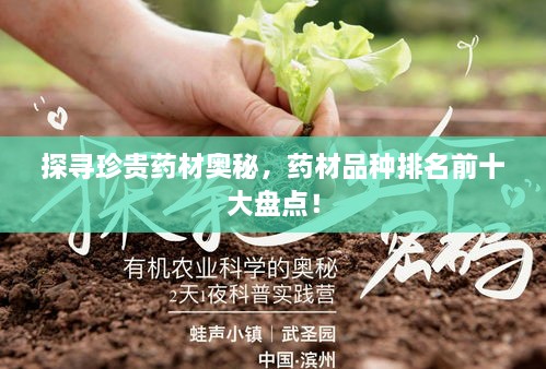 探寻珍贵药材奥秘，药材品种排名前十大盘点！