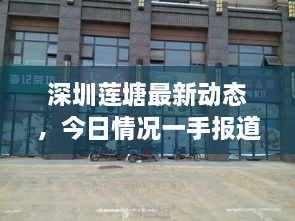 深圳莲塘最新动态，今日情况一手报道