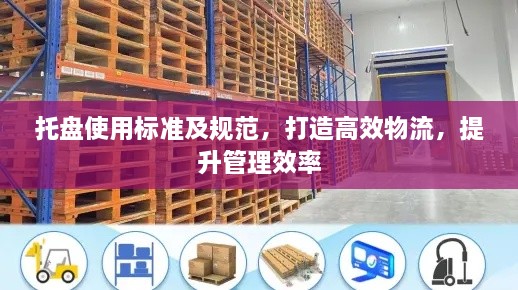 托盘使用标准及规范，打造高效物流，提升管理效率