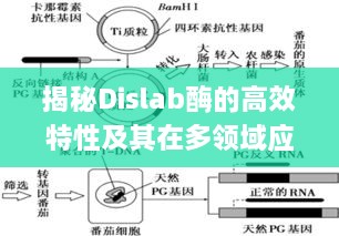 新闻动态 第78页