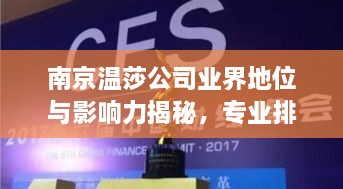 南京温莎公司业界地位与影响力揭秘，专业排名引领潮流
