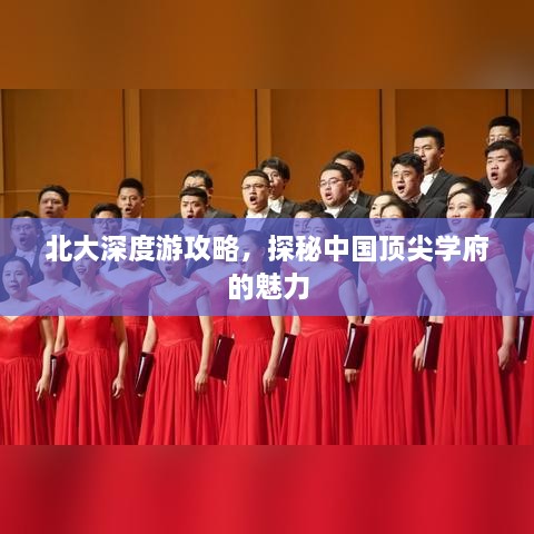 北大深度游攻略，探秘中国顶尖学府的魅力
