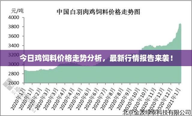 今日鸡饲料价格走势分析，最新行情报告来袭！