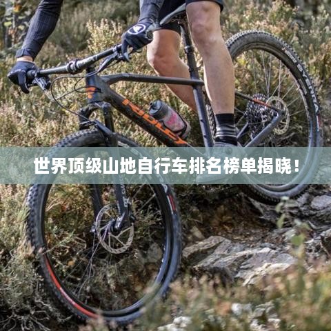 世界顶级山地自行车排名榜单揭晓！