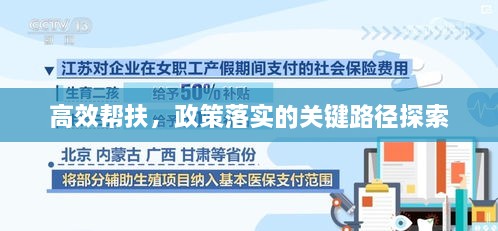 高效帮扶，政策落实的关键路径探索