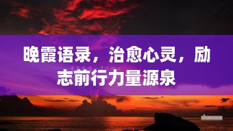 飞鸟依人 第2页