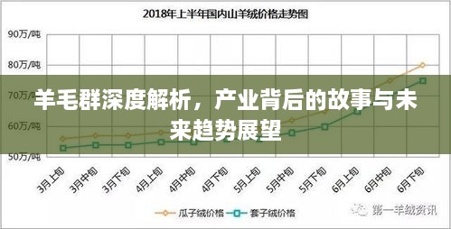 羊毛群深度解析，产业背后的故事与未来趋势展望