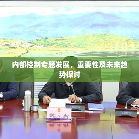 内部控制专题发展，重要性及未来趋势探讨