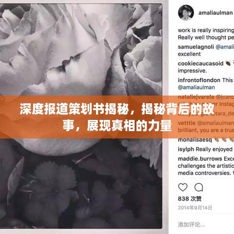 深度报道策划书揭秘，揭秘背后的故事，展现真相的力量