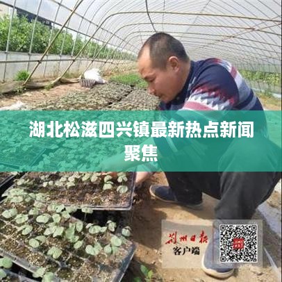 湖北松滋四兴镇最新热点新闻聚焦