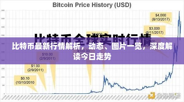 比特币最新行情解析，动态、图片一览，深度解读今日走势