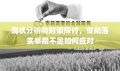 现状分析与对策探讨，贯彻落实举措不足如何应对