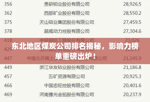 东北地区煤炭公司排名揭秘，影响力榜单重磅出炉！