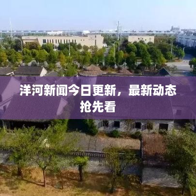 洋河新闻今日更新，最新动态抢先看