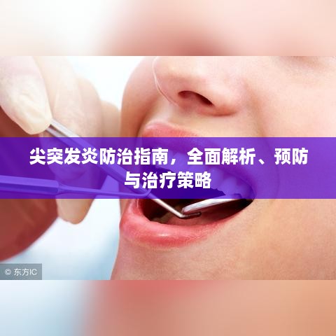 尖突发炎防治指南，全面解析、预防与治疗策略