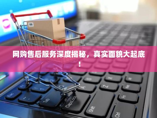 澹泊明志，宁静致远 第2页