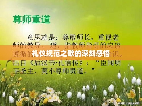 礼仪规范之歌的深刻感悟