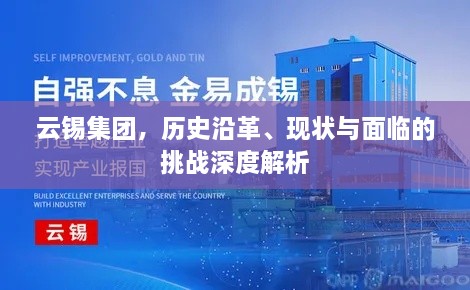 云锡集团，历史沿革、现状与面临的挑战深度解析