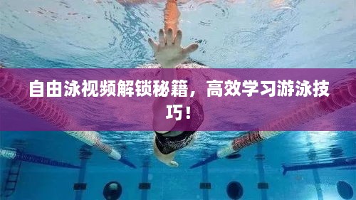 自由泳视频解锁秘籍，高效学习游泳技巧！
