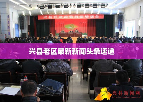兴县老区最新新闻头条速递