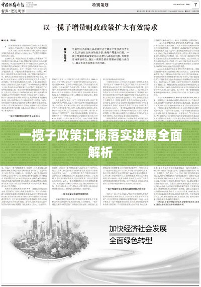 一揽子政策汇报落实进展全面解析