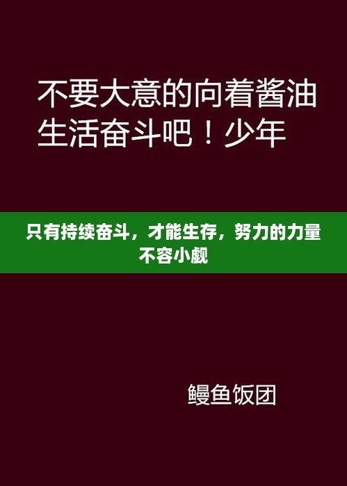 只有持续奋斗，才能生存，努力的力量不容小觑