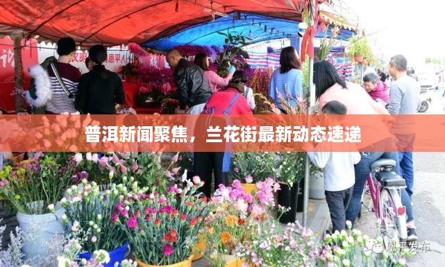 普洱新闻聚焦，兰花街最新动态速递