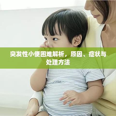 突发性小便困难解析，原因、症状与处理方法