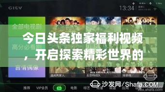 今日头条独家福利视频，开启探索精彩世界的大门