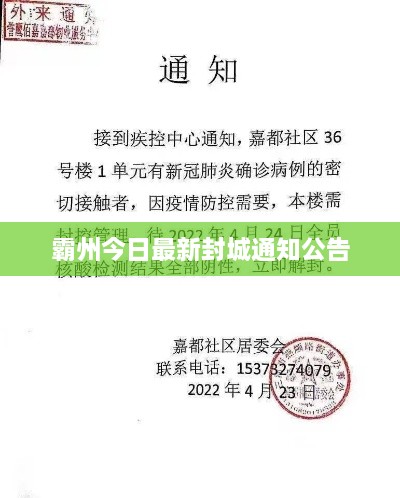 霸州今日最新封城通知公告