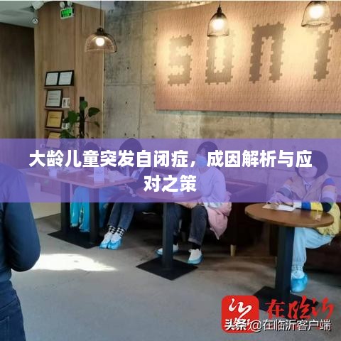 大龄儿童突发自闭症，成因解析与应对之策
