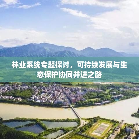 林业系统专题探讨，可持续发展与生态保护协同并进之路