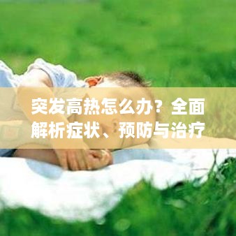 突发高热怎么办？全面解析症状、预防与治疗方法