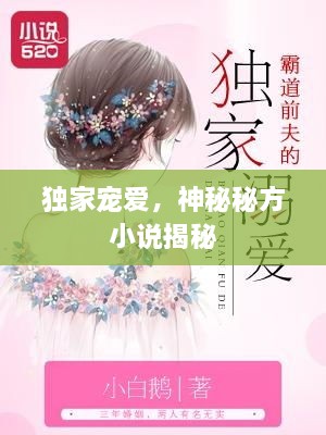 独家宠爱，神秘秘方小说揭秘