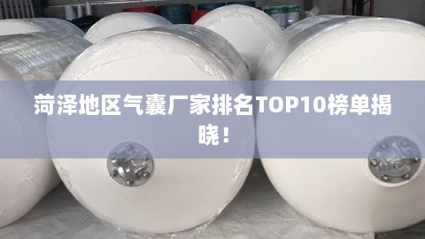 菏泽地区气囊厂家排名TOP10榜单揭晓！