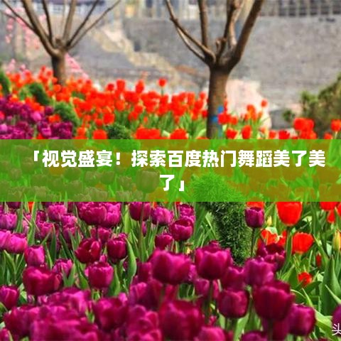 「视觉盛宴！探索百度热门舞蹈美了美了」