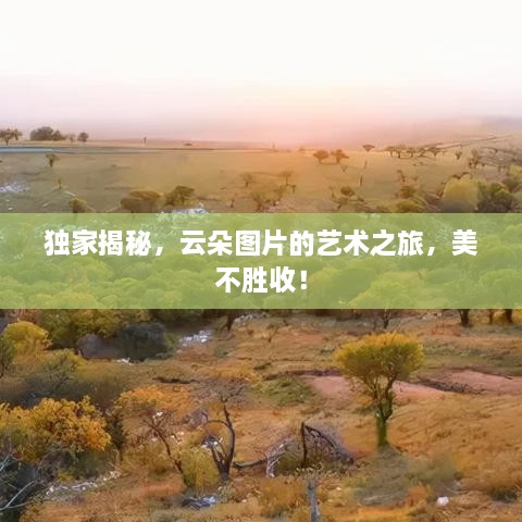 情不自禁 第2页