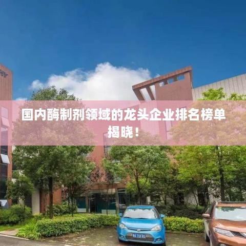 国内酶制剂领域的龙头企业排名榜单揭晓！