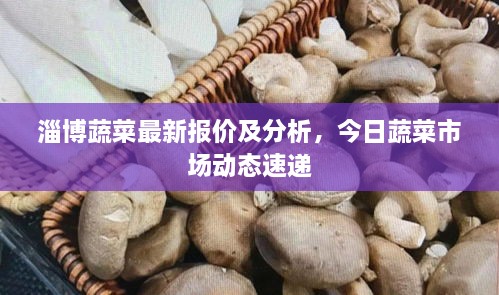 淄博蔬菜最新报价及分析，今日蔬菜市场动态速递