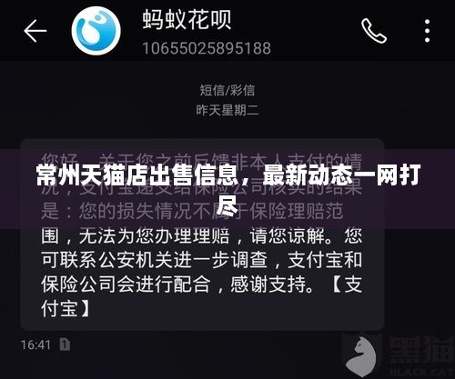 常州天猫店出售信息，最新动态一网打尽