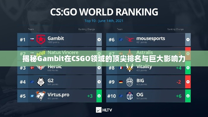 揭秘Gambit在CSGO领域的顶尖排名与巨大影响力