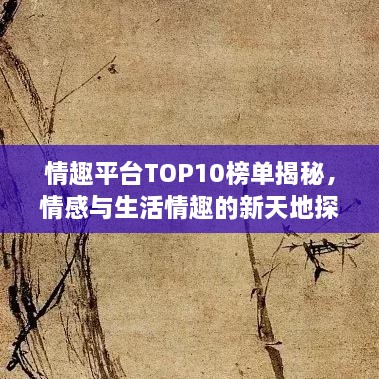 情趣平台TOP10榜单揭秘，情感与生活情趣的新天地探索