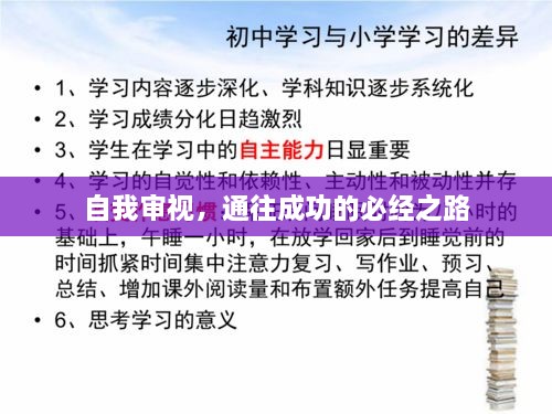 自我审视，通往成功的必经之路