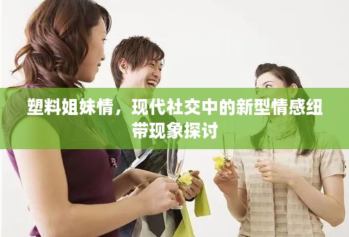 塑料姐妹情，现代社交中的新型情感纽带现象探讨