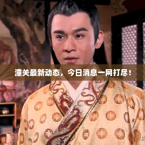 潼关最新动态，今日消息一网打尽！