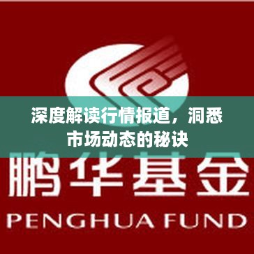 深度解读行情报道，洞悉市场动态的秘诀