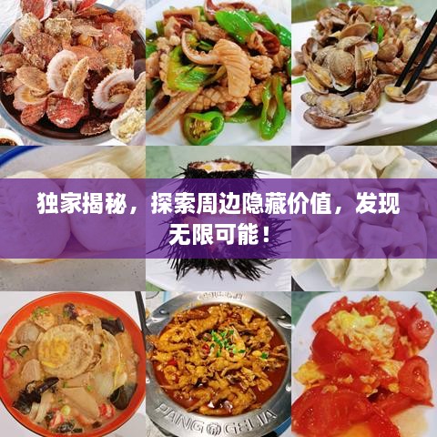 独家揭秘，探索周边隐藏价值，发现无限可能！