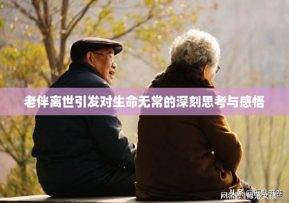 老伴离世引发对生命无常的深刻思考与感悟