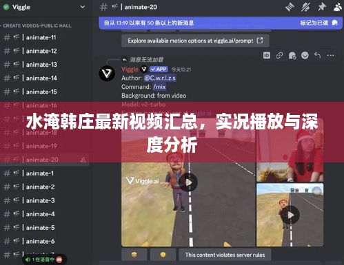 水淹韩庄最新视频汇总，实况播放与深度分析